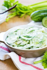 Wall Mural - Cucumber with Celery and Dill salad