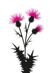 Wall Mural - thistle