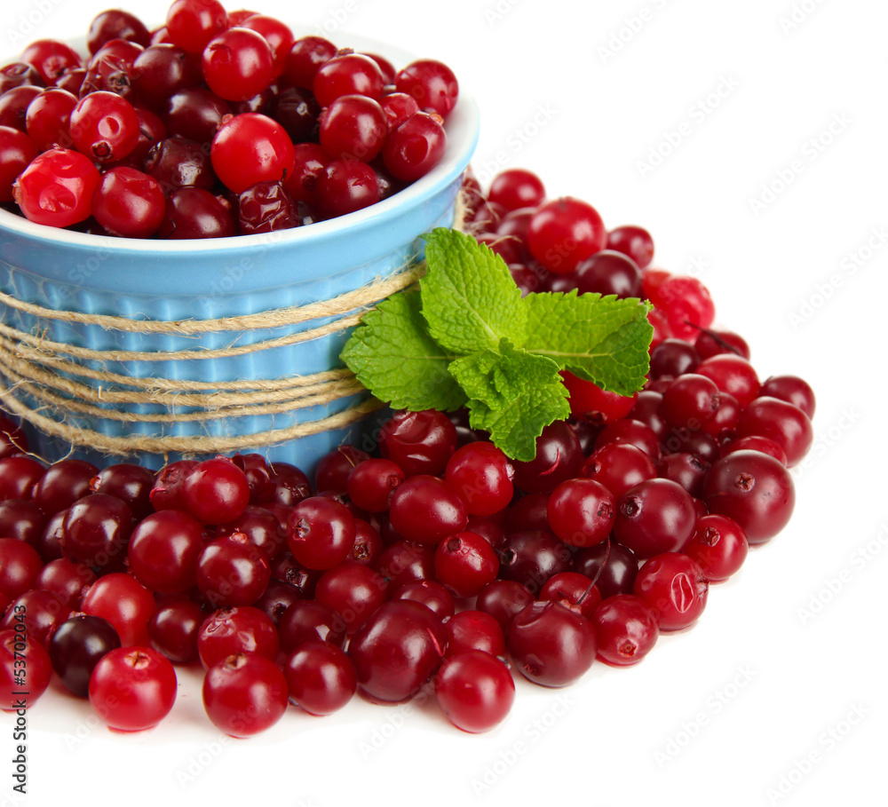 Ripe red cranberries in bowl, isolated on white.