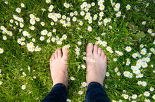 Female Feet Standing On Green Grass And White Flowers