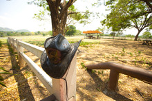 Cowboy Hat, Black Cowboy Hat Hanging On Farm Fence