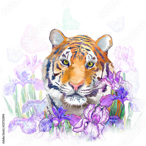 Board z aluminiowym obramowaniem Tygrys i kwiaty tęczówki