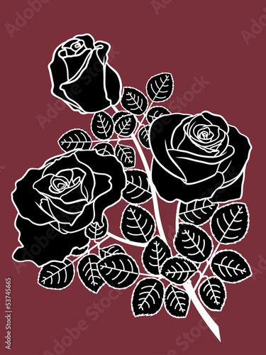 Plakat na zamówienie Black and white roses on the dark