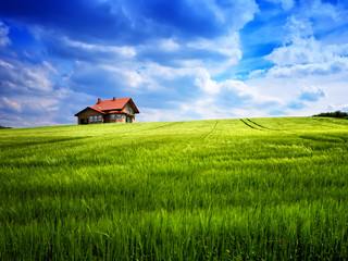 Wall Mural - Summer house on a green hill