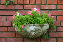 Flower In Pot On Brick Wall