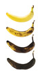 Spotless banana in a process of decompose