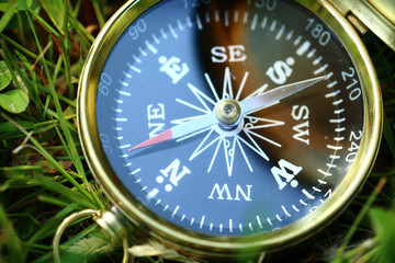 Wall Mural - Golden compass on green grass