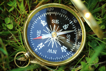Wall Mural - Golden compass on green grass