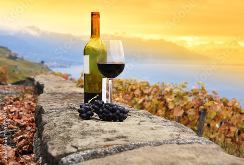 Plakat na zamówienie Glass of red wine on the terrace vineyard in Lavaux region, Swit
