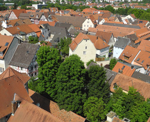 Canvas Print - Tauberbischofsheim