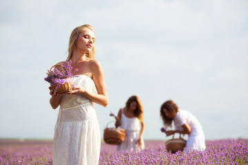 Fototapete - Girl on the lavender field