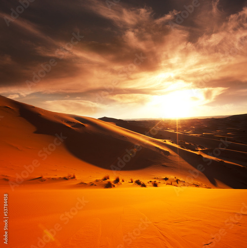 Foto-Vorhang - Desert (von Galyna Andrushko)