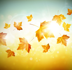 Wall Mural - autumn background with leaves