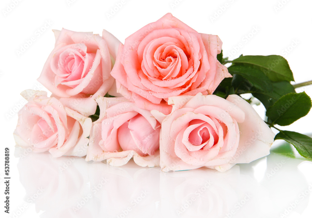 Beautiful bouquet of roses isolated on white
