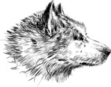 160_f_53790255_da3mump2tcmbxczdt6fop3xxv3fzutvx