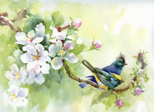 Painting Collection Birds Of Spring