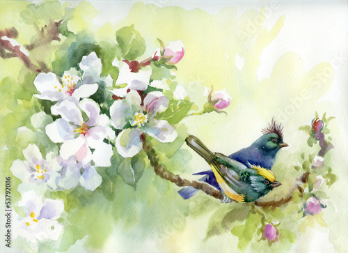 Naklejka na szybę Painting collection Birds of spring
