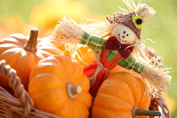 Wall Mural - Scarecrow and pumpkins on colorful autumn background