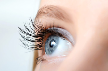 Female eye with long eyelashes close-up