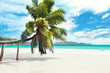 Palmenstrand Seychellen