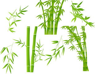 Wall Mural - green illustration with set of bamboo branches