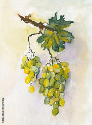 Naklejka dekoracyjna Grape