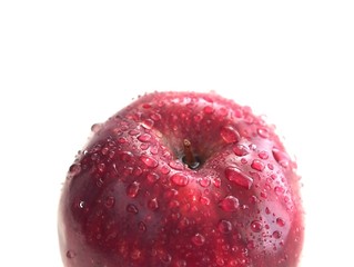 Wall Mural - Wet red apple with water drop isolated on white background