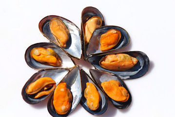 MEJILLONES GALLEGOS. AL VAPOR, FRESCOS