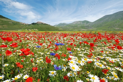 Board z aluminiowym obramowaniem Kwiecisty castelluccio norcia italy