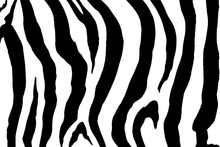 Zebra Print Image