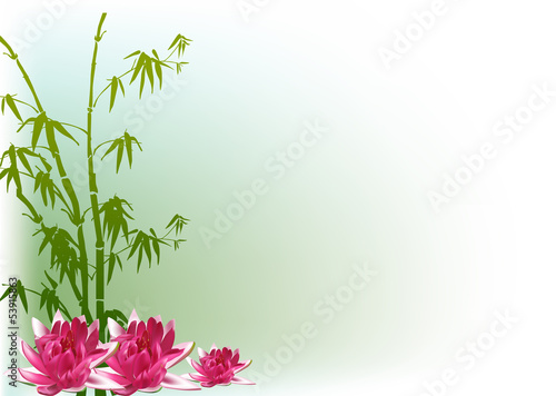 Naklejka na szybę bamboo and pink lily flowers on green background