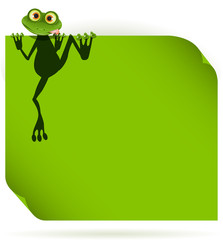 Wall Mural - frog on a green leaf