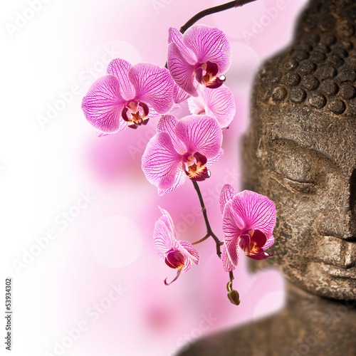 Board z aluminiowym obramowaniem Różowa orchidea budda