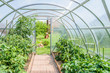 arched greenhouse