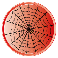 Cobweb icon.