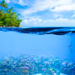 Wall Mural - underwater tropical sea with water surface background