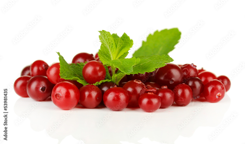 Ripe red cranberries, isolated on white.