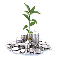 Sticker - plant growing out of silver coins isolated on white