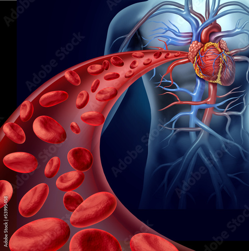 Naklejka - mata magnetyczna na lodówkę Heart Blood Health