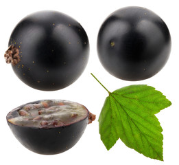 Wall Mural - Black currants