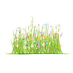 Wall Mural - Green meadow for your design