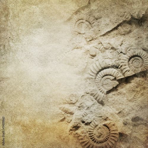 Nowoczesny obraz na płótnie Vintage paper background with fossils
