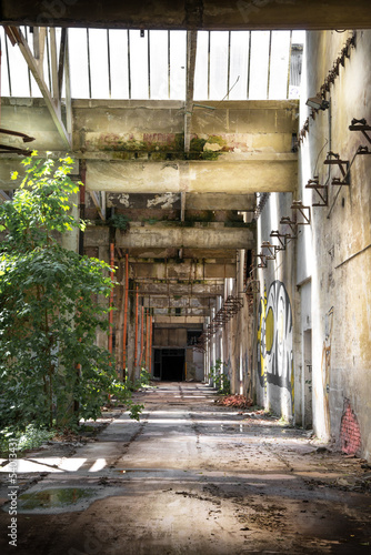 Fototapeta na wymiar degrado industriale