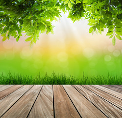 Fresh spring green grass and wood floor  with green leaf , Summe