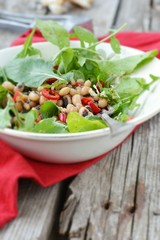 Canvas Print - beans and ruccola salad