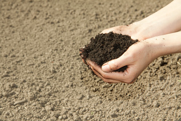 hands with black soil