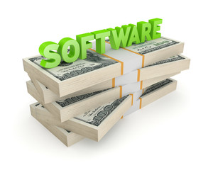 Wall Mural - Word SOFTWARE on a stack of dollars.