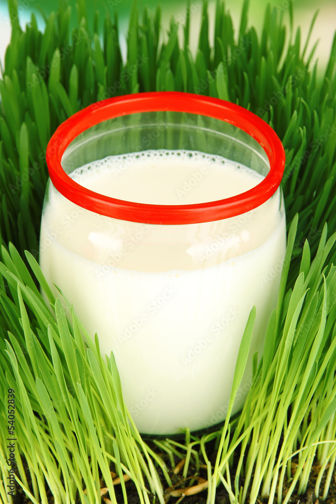 Glass bottle of milk standing on grass close up
