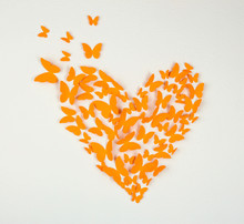 Paper Orange Butterfly In Form Of Heart On Wall