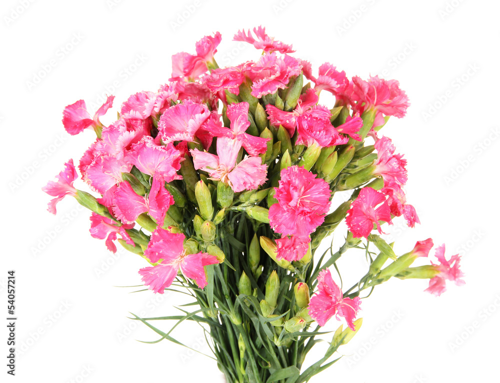 Bouquet of carnations, isolated on white